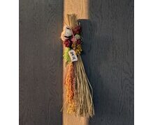 2026年 始動！！